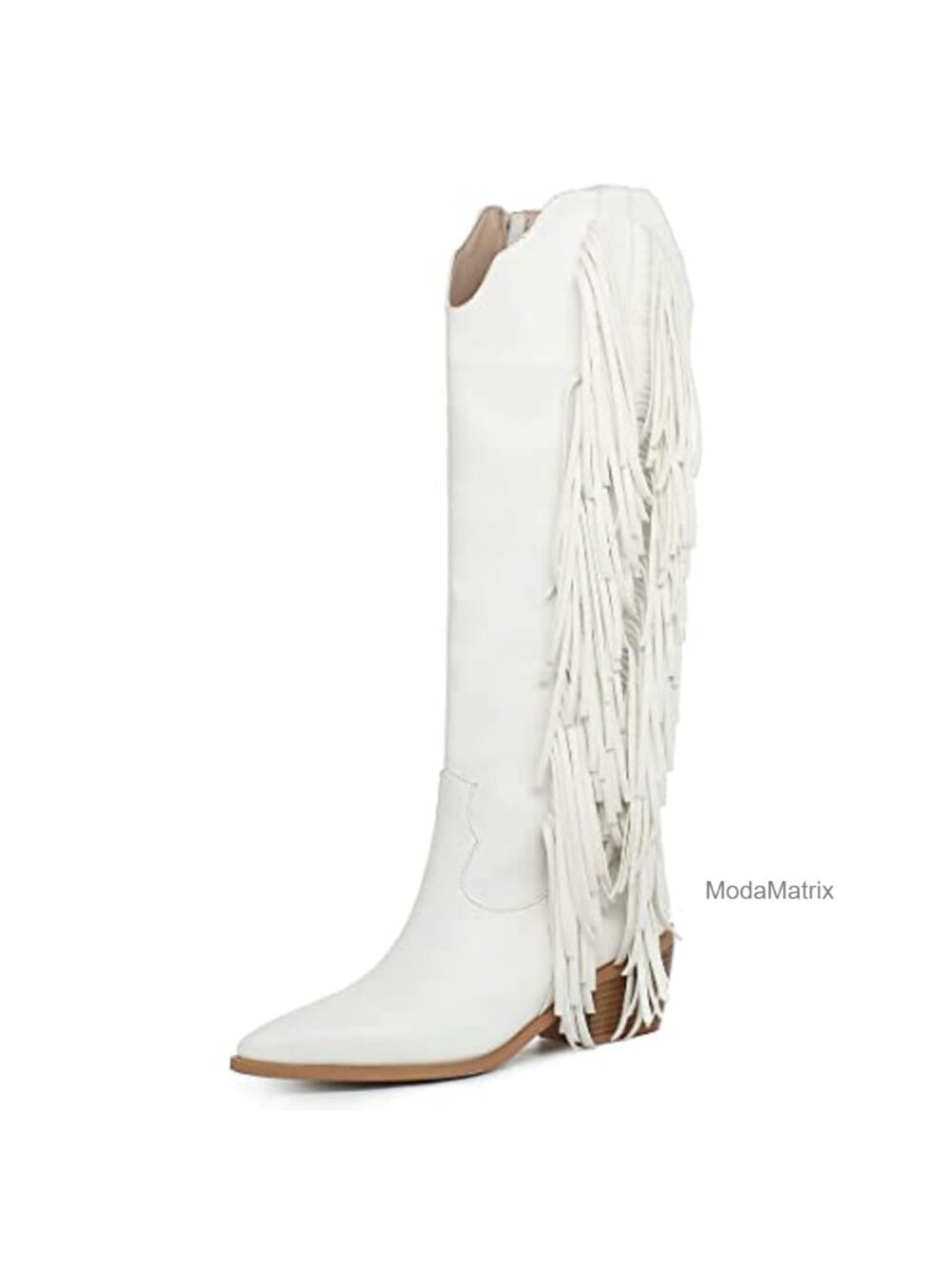 Knee High Cowgirl Fringe Boots for Women Mid Heel Side Zip Pointed Toe
